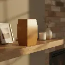 Sepia Arrondi Adult Urn